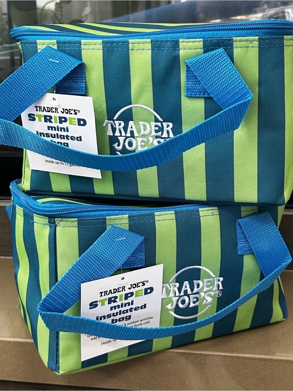 NWT Trader Joe's Set of 2 Striped Mini Insulated Blue & Green Bags